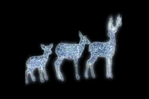 C~l[V@giJCC~l[VzCg@giJC@@Aj}@@ʁ@Ǌ|@P@d@LED@`[t@NX}X@킢