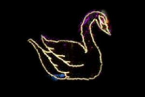 C~l[V@C~l[VCG[@@@Aj}@@ʁ@Ǌ|@P@d@LED@`[t@NX}X@킢