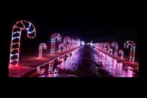 C~l[V@LfBC~l[Vbh@LfB@ʁ@Ǌ|@P@d@LED@`[t@NX}X@킢