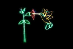 C~l[V@n`hC~l[VO[@CG[@n`h@@ʁ@Ǌ|@P@d@LED@`[t@NX}X@킢