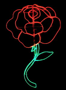 C~l[V@KNC~l[V@[Y@o@΂@J[l[V@j@A@a@뉀@@ze@t[Vbv@O[@bh@KN@ԁ@ʁ@Ǌ|