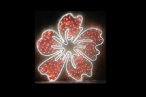 C~l[V@t[C~l[Vbh@t[@ԁ@ʁ@Ǌ|@P@d@LED@`[t@킢