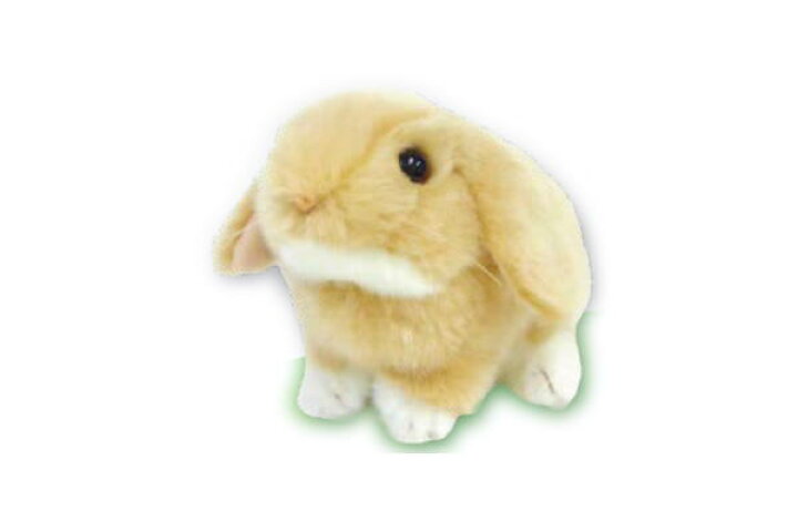 楽天市場 送料無料 オリジナル ロップイヤー ラビットマスコット オレンジ うさぎ ウサギ 動物 アニマル 人形 ぬいぐるみ ドール おもちゃ 子供 キッズ インテリア 雑貨 グッズ かわいい ａｏｉデパート