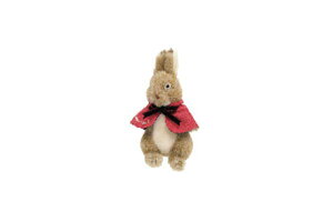s[^[rbg@Peter Rabbit@ ʂS@Jge[@@ETM@Lbg@G{@Aj@f@l`@}XRbg@h[@@q@LbY@CeA@G
