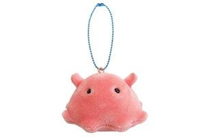 yz@IWi@CU@ӂ}XRbg_R@@C@@L[z_[@L[O@@ʂ݁@l`@G݁@ObY@킢