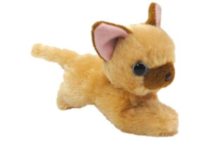 yzyIWiz}Olbg}XRbgyLzy傪ˁzylRzy˂zyzyAj}zy΁zy}Olbgzy}XRbgzyl`zyCeAzy