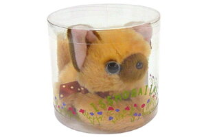 IWi@܂pbP[WʂݒL@傪ˁ@lR@˂@@Aj}@}XRbg@l`@@CeA@q@LbY@G݁@ObY@킢