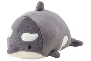 NbV@IWi@}XRbg}V}ANA~G@@Aj}@Cm@́@V`@ʂ݁@@}XRbg@~jNbV@G݁@ObY@킢