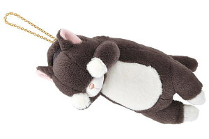 pXP[X@IWi@pXP[XNlR@т˂@܂܂@@Aj}@L@lR@ʂ݁@@@|[`@P[X@G݁@ObY@킢