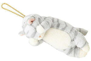 pXP[X@IWi@pXP[XTog@т˂@܂܂@@Aj}@L@lR@ʂ݁@@@|[`@P[X@G݁@ObY@킢