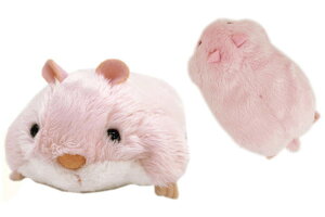 IWi@ʂ݃sN@{{@nX^[@@Aj}@l`@}XRbg@h[@@xr[@Ԃ@q@LbY@CeA@ObY@킢