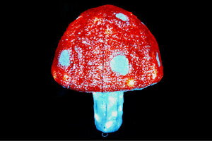 yLEDC~l[VzLmRybhzyc[zylCzyC~zyCgzyfzyCxgzyG݁zyCeAzyNX}XzyLEDzyC~l[VzydzyX