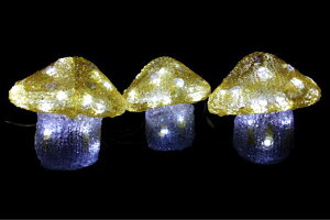 yLEDC~l[Vz3ALmRyCG[zyLmRzyc[zylCzyC~zyCgzyfzyCxgzyG݁zyCeAzyNX}XzyLEDzyC~l[V