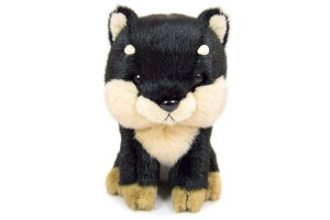 yIWizIS[ʂ݁yVoCkzyubNzyzyzyAj}zyʂ݁zyl`zyh[zyCeAzyG݁zyObYzy킢z