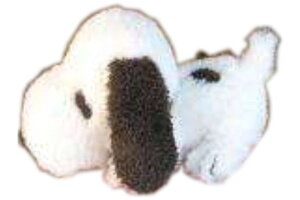 �X�k�[�s�[�@SNOOPY�@FUWAKUTA�ʂ�����݃��J�@�͂��͂��@�s�[�i�b�c�@�E�b�h�X�g�b�N�@���ʁ[�ҁ[�@�}�X�R�b�g�@�l�`�@�h�[���@��������@�q���@�L�b�Y�@�C���e���A�@�G�݁@�O�b�Y�@����