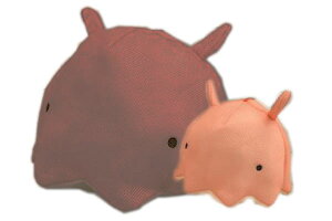 yz@@IWi@h[lbg_R@@@t@Ch[@lbg@G݁@ObY@킢