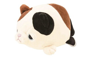 yz@IWi@}V}Aj}@}XRbg䂸@L@@Aj}@ʂ݁@l`@h[@CeA@G݁@ObY@킢