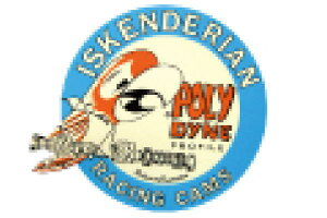 yAJG݁z[VOXebJ[yISKENDERIAN RACING CAMSzyCXPfA[VOJYzycarzyԁzyAJzyUSAzyALzyV[zy[zyG݁zyO