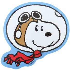【送料無料】　スヌーピー　PEANUTS　ビッグステッカーアストロフェイス　ピーナッツ　ウッドストック　すぬーぴー　アニメ　キャラクター　アウトドアステッカー　ステッカー　シール　文房具　雑貨　グッズ　かわいい