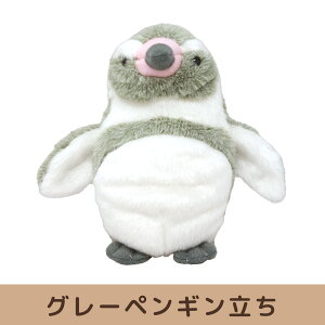 CU@ۂ܂V[Y@ʂS@@O[@yM@C@@}XRbg@l`@h[@@CeA@q@LbY@G݁@ObY@킢