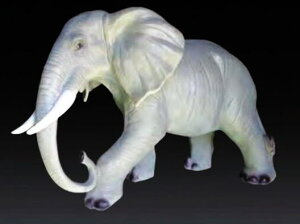 y^izyC~l[Vz]EyAzyzyAj}zyLEDi`}zyCgzyzydzyzyzy`[tzyIuWFzyp[eB[zyCxgzyG