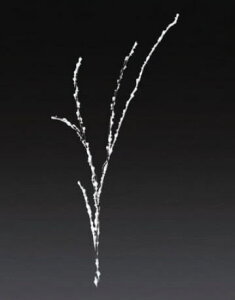 y^izyC~l[Vzu`yzCgzyzy}zyLEDXgOzyCgzyzydzyzyzy`[tzyIuWFzyp[eB[zyCxgz