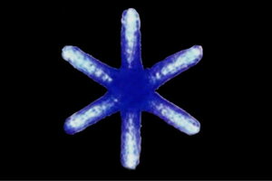 y^izyC~l[Vzt[Xm[yu[zyzyzyLEDNX^O[zyCgzyzydzyzyzy`[tzyIuWFzyp[eB[zy