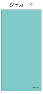 【送料無料】 Champion チャンピオン バスタオル1Pフリーターコイズ 水色 ブランド メーカー タオル たおる 海 プール スポーツ アウトドア 1枚入り 雑貨 グッズ かわい