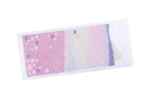 yz@y{z@^I@tFCX^Ixm@ō@ԕ@^I@@G݁@ObY@킢