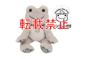 yz@̃sNX@pickles the frog@r[h[[fBO@always smile @@JG@JG̃sNX@l`@ʂ݁@}XRbg@@CeA@G