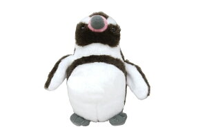 CU@ۂ܂V[Y@ʂS@@@yM@C@@}XRbg@l`@h[@@CeA@q@LbY@G݁@ObY@킢