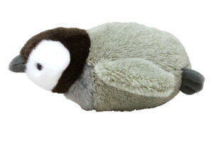 yz@CU@ۂ܂V[Y@ʂS@j@qyM@C@@}XRbg@l`@h[@@CeA@q@LbY@G݁@ObY@킢