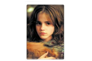 n[|b^[@|XgJ[h28@@@zO[c@f@nKL@莆@͂@Ă݁@G@^[@G݁@ObY@킢