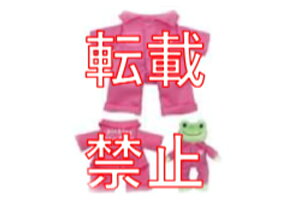 ̃sNX@pickles the frog@ʂ݃RX`[sN@ciM@JG̃sNX@@ւ@}XRbg@h[@l`@@CeA@G݁@ObY@킢