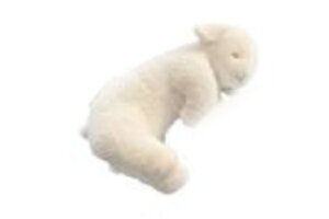 IWi@SOiNE@\Cl@YQ܂M@v@Ђ@@Aj}@@s[@ʂ݁@l`@h[@}XRbg@CeA@G݁@ObY@킢