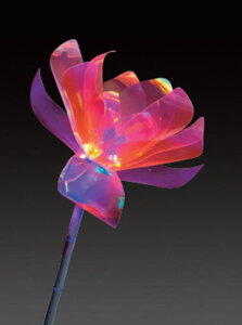 C~l[V@LEDh[VCt[40ԁ@Jt@`[t@ꂢ@@@~@NX}X@c[@@GR@d@LED@O@O@G݁@ObY@킢