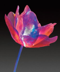 C~l[V@LEDh[VCt[60ԁ@Jt@`[t@ꂢ@@@~@NX}X@c[@@GR@d@LED@O@O@G݁@ObY@킢