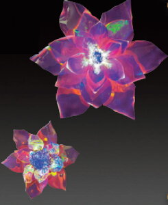 C~l[V@LEDh[VCOht[sN@ԁ@Jt@`[t@ꂢ@@@~@NX}X@c[@@GR@d@LED@O@O@G݁@