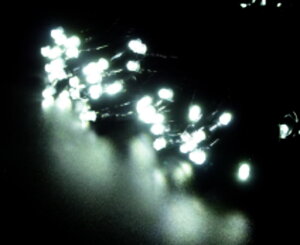 C~l[V@tbVXg[gCg96zCg@@ꂢ@@@~@NX}X@c[@p[eB[@Cxg@@GR@d@LED@O@O@G݁@O