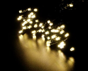 C~l[V@Ob^[Cg100dF@ubNR[h@ꂢ@@@~@NX}X@c[@p[eB[@Cxg@@GR@d@LED@O@O@G݁@O