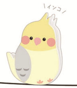 yz@@Zbgi@10@IWi@ƂNbvCG[@F@CR@Nbv@߁@[@wZ@׋@G݁@ObY@킢