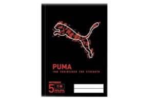 PUMA@v[}@5mmm[gubN@@uh@[J[@m[g@[@wZ@׋@G݁@ObY@킢