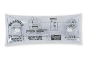 スヌーピー SNOOPY クリアマルチケーススリムRECORDS ウッドストック ピーナッツ ポーチ 小物入れ ペン入れ 筆箱 収納 文房具 学校 勉強 雑貨 グッズ かわいい