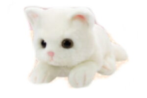 IWi@RlRV[Y@ʂ݃zCg@@lR@@Aj}@l`@h[@}XRbg@@q@LbY@CeA@G݁@ObY@킢