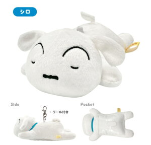 yz@@N񂿂@₷pXP[XV@f@|[`@@J[h@[@L[z_[@L[O@[@ʋ΁@ʊw@q@LbY@G݁@O