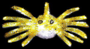 LED@2D@C~l[V@^i@LEDNX^JjI@Jj@TJi@CӁ@C@[C@Aj}@`[t@NX^@NX}X@d@Cg@C~@N킢C