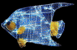 LED@2D@C~l[V@^i@LEDNX^[tBbVTJi@CӁ@C@[C@Aj}@`[t@NX^@NX}X@d@Cg@C~@N킢C