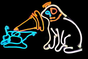 AJG݁@lITCrN^[@Dog@bar@lI@lICg@d@Ŕ@΂@AJG݁@Cg@CeA@X܁@USA@K[W@JtF@
