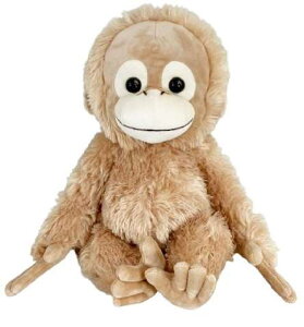 yz@xCr[RRAhic@ʂM@xCr[RR@@Aj}@}XRbg@l`@h[@@CeA@q@LbY@G݁@ObY@킢