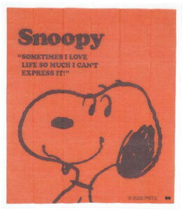 yz@Xk[s[@SNOOPY@␶nӂ񃌃bh@ԁ@s[ibc@EbhXgbN@ʁ[ҁ[@Aj@LN^[@ӂ@^I@@Lb`@H@G݁@Ob